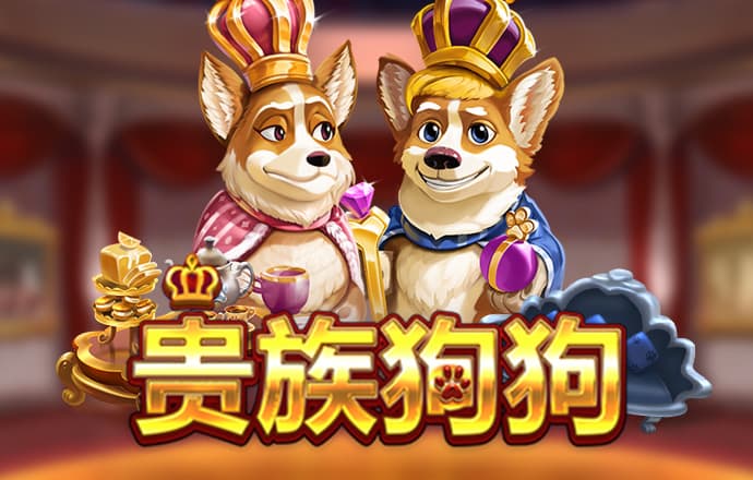 haha体育官方